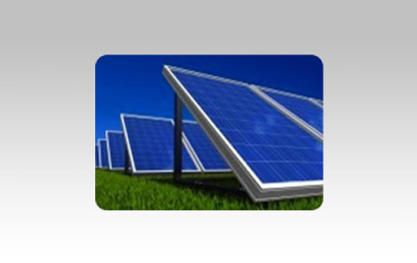 solar-panels-cat
