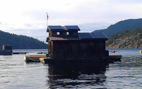 evening-cove-1